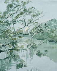 A Spectator