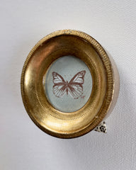 Brown Butterfly