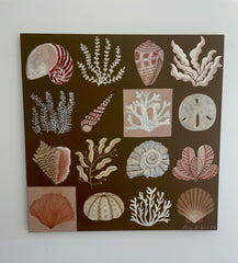 Shells & Seaweed