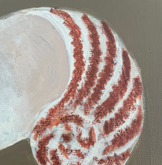 Shells & Seaweed