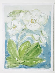 Wild Orchid No. 6