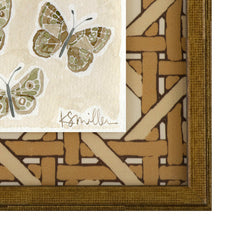 Butterflies 014