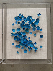Blue Blossoms
