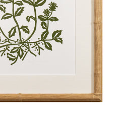 Botanical 63