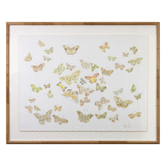 Butterflies 01