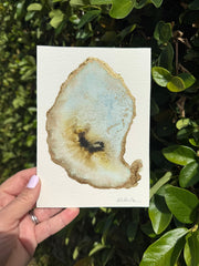 Oyster Watercolor 2