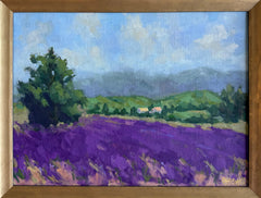 Lavender in the Luberon