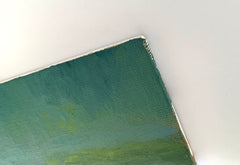 Lily Pond Study