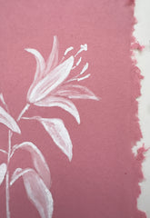 Ornamental Lily