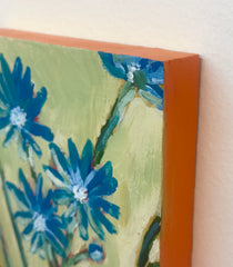 Chicory