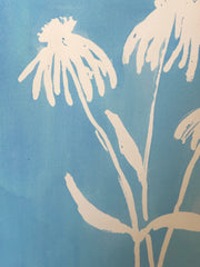Coneflower