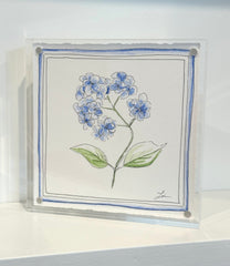 Hydrangea