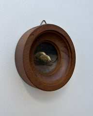 Olive Study 1