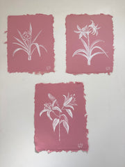 Ornamental Lily