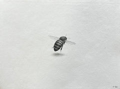 Bee VI