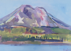 South Sister Study