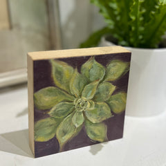 Succulent