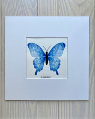 Butterfly No. 30