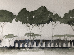 Via Appia Aquaduct, Distant