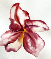 Summer Bloom 2