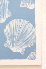 Scallop Shells