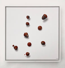 Floating Acorns