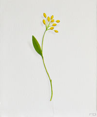 Yellow Flower 3
