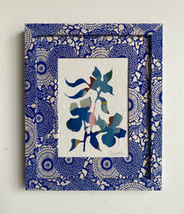 Dogwood in Blue