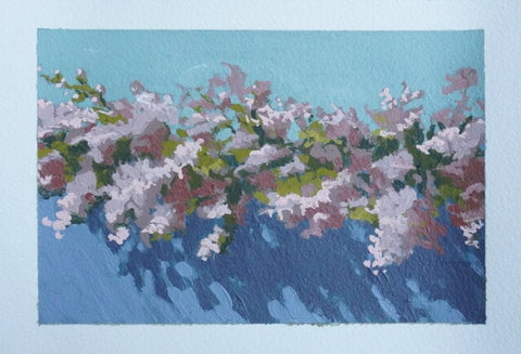 Bougainvillea in Blue