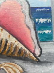 Shells on the Shelf