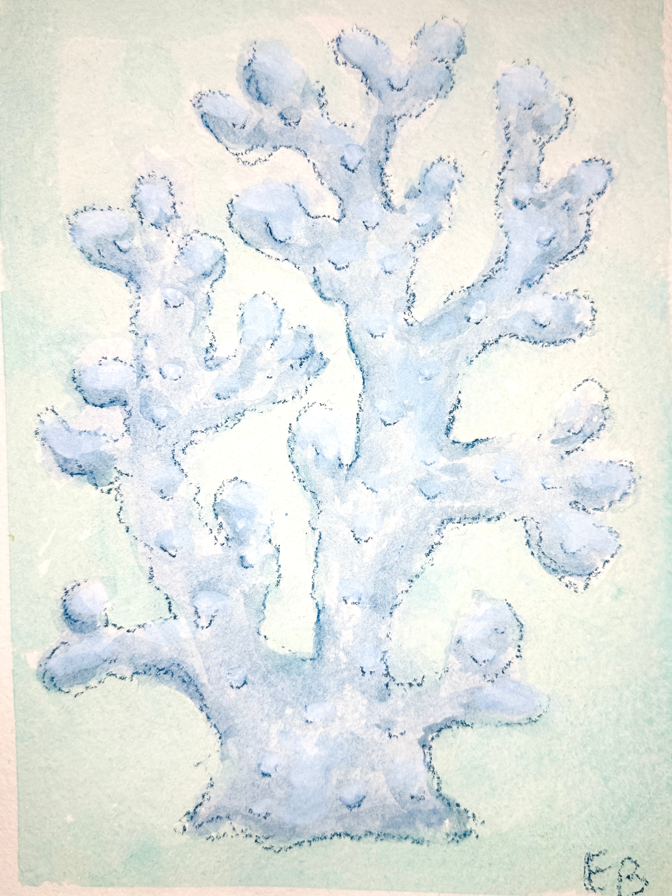 Blue Coral No. 1