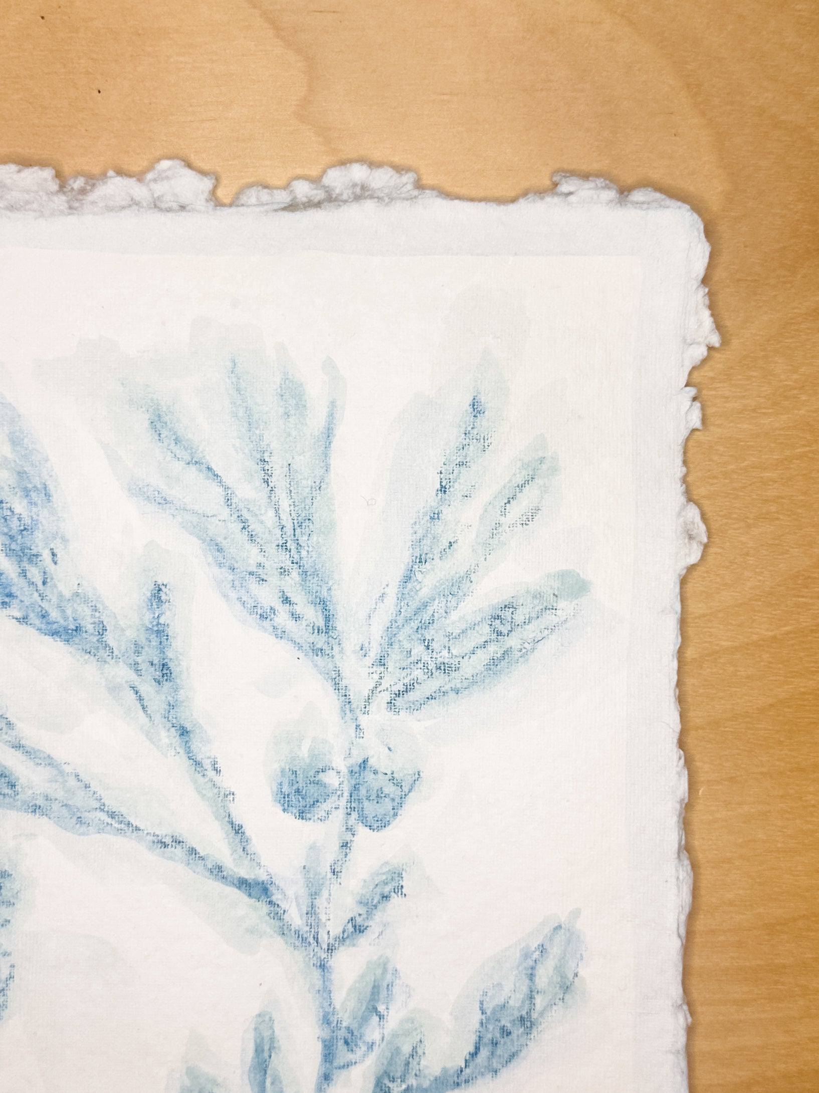 Blue Sea Kelp No. 3