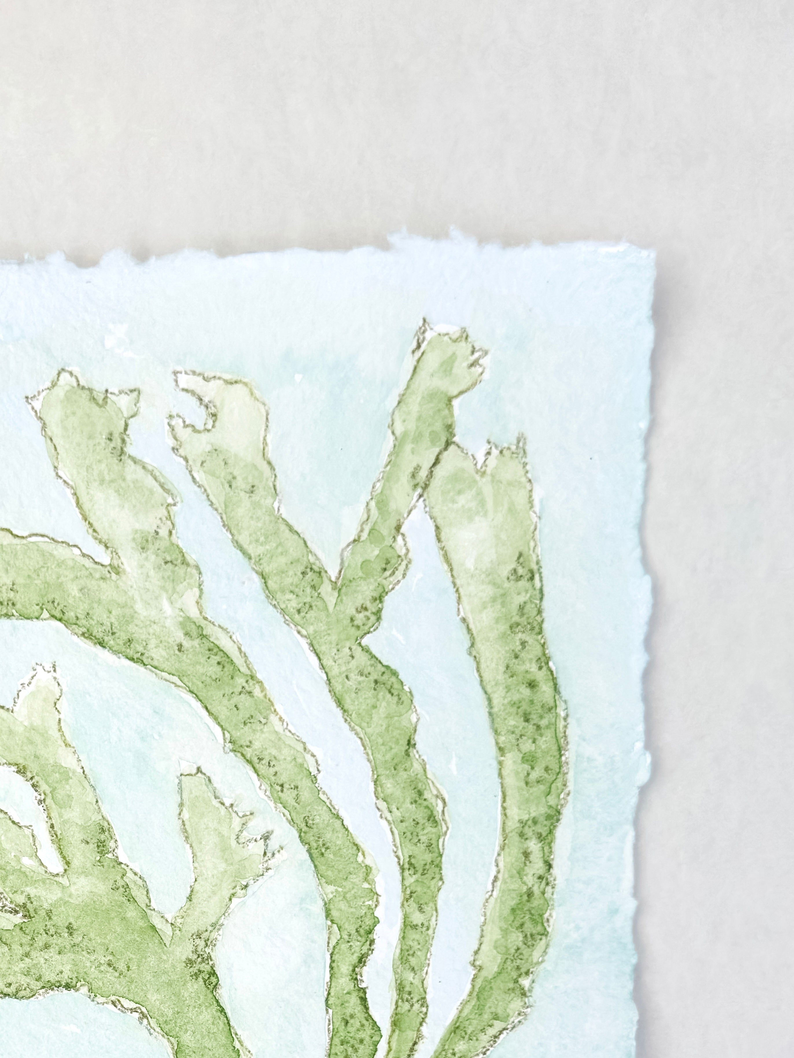 Chartreuse Seaweed No. 1