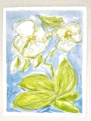Wild Orchid No. 7