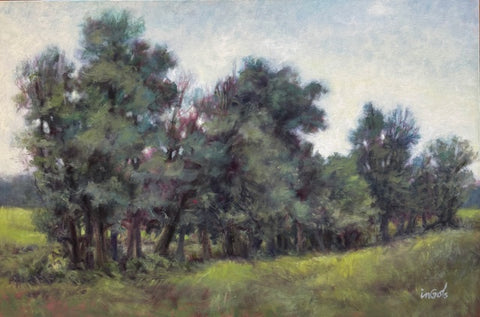 Field Boundary