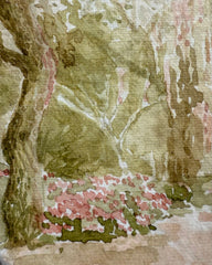 Hampton Park