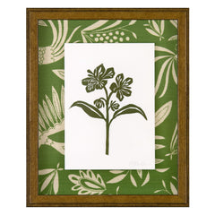 Peruvia Lily Green 01A