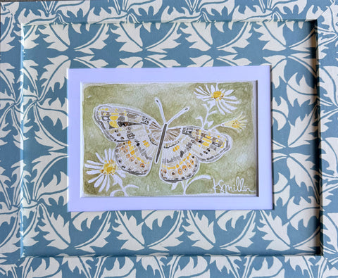 Butterflies 035