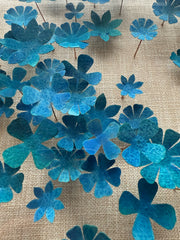 Blue Blossoms