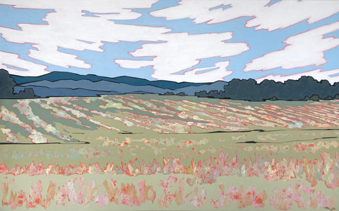 Jack's Shop Field