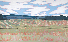 Jack's Shop Field