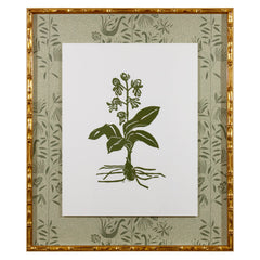 Botanical 39