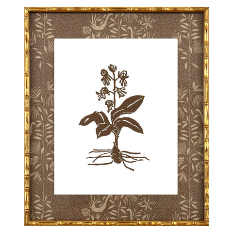 Botanical 39A