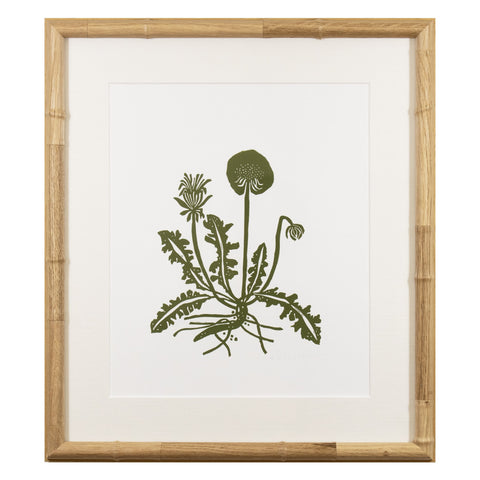 Botanical 64
