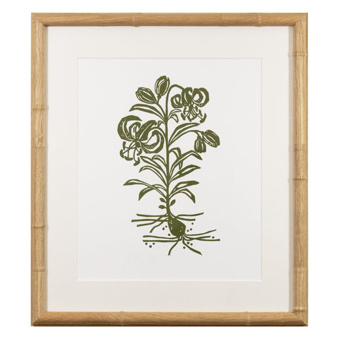 Botanical 66