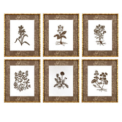 Botanical 39A