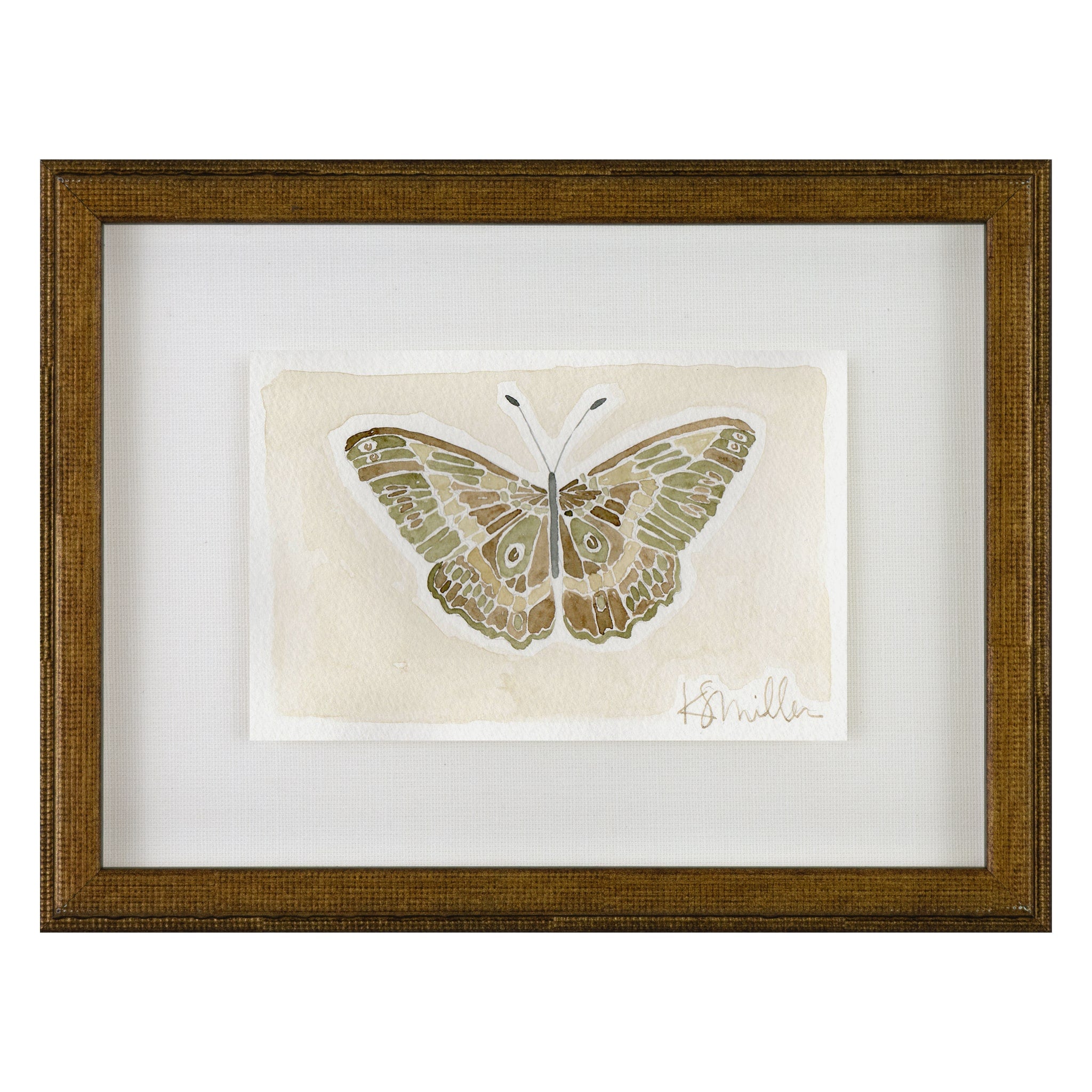 Butterflies 013