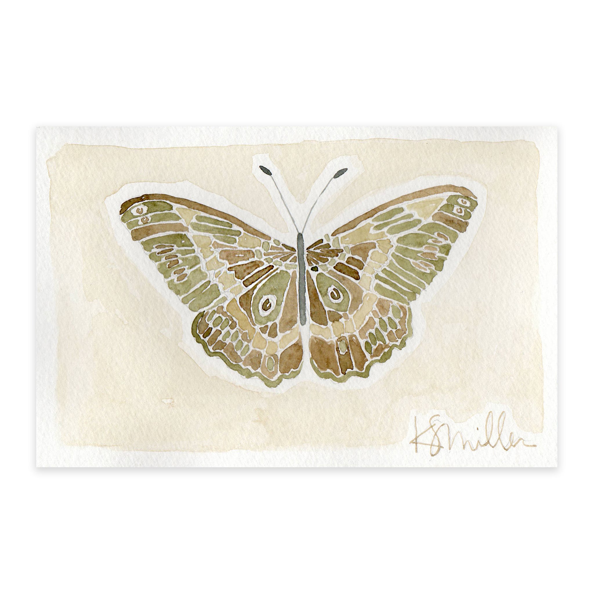 Butterflies 013