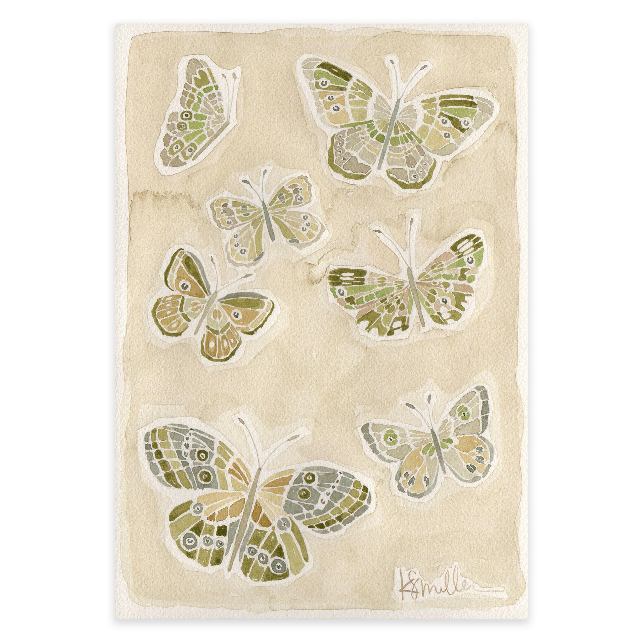 Butterflies 016