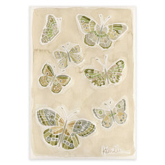 Butterflies 016